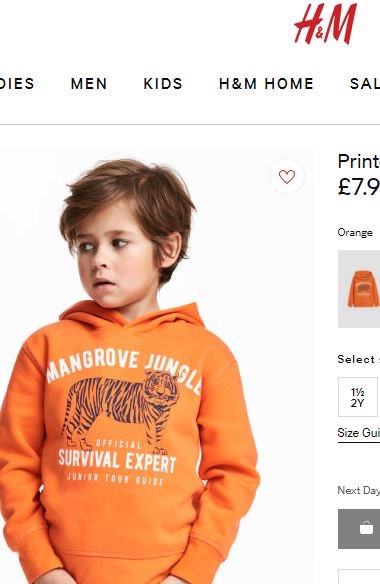 H&m jungle hoodie sale