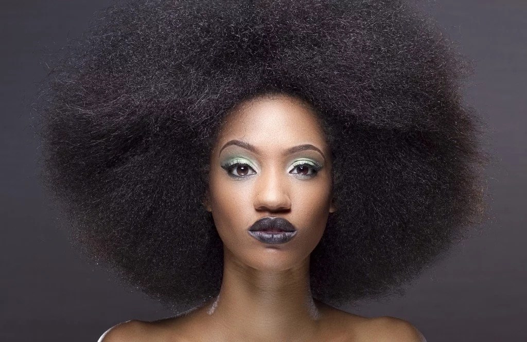 Dija natural hair celebs