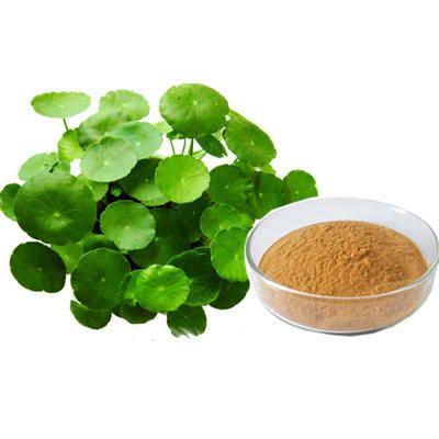 Bacopa Monnieri can boost your life 