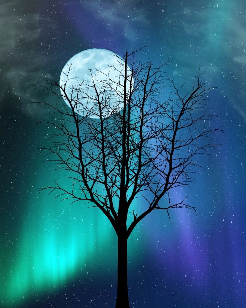 Aurora Borealis And The Moon by Nurdugphotos