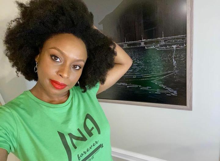 Chimamanda Ngozi Adichie t-shirt fashion