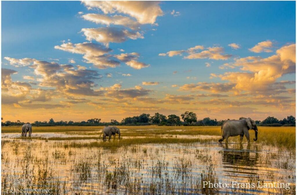Okavango River Basin