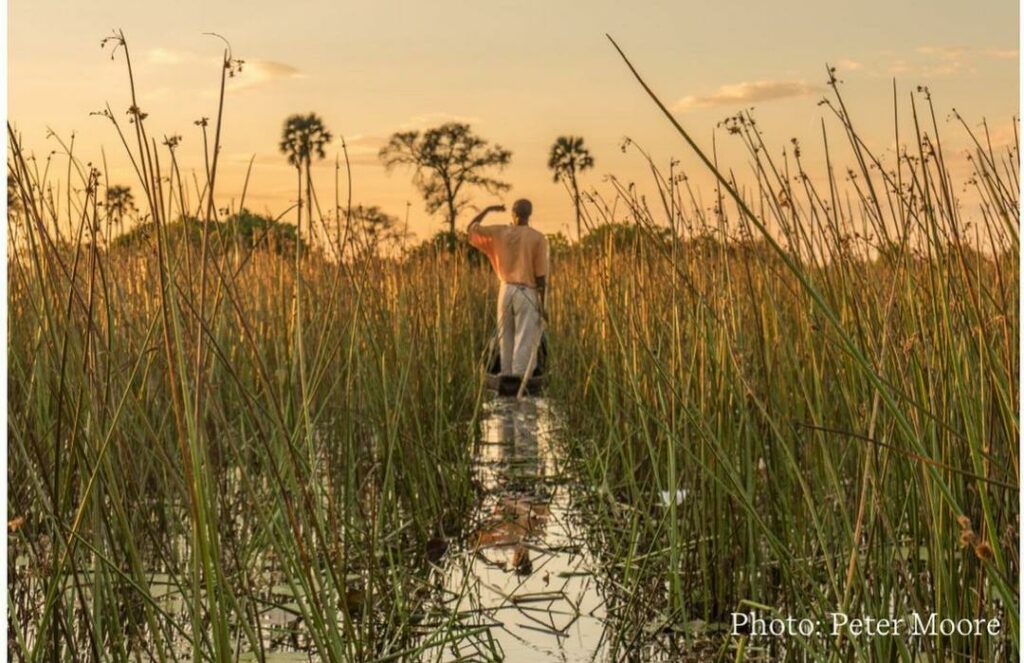 Okavango River Basin