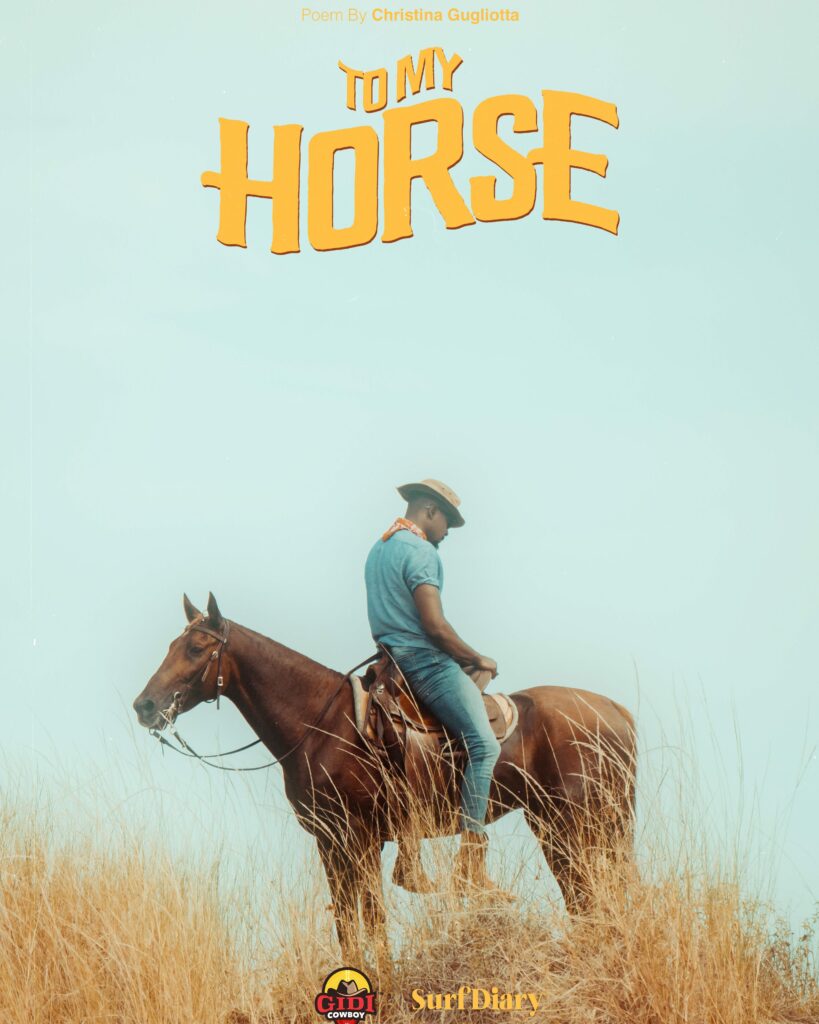 equestrian lifestyle