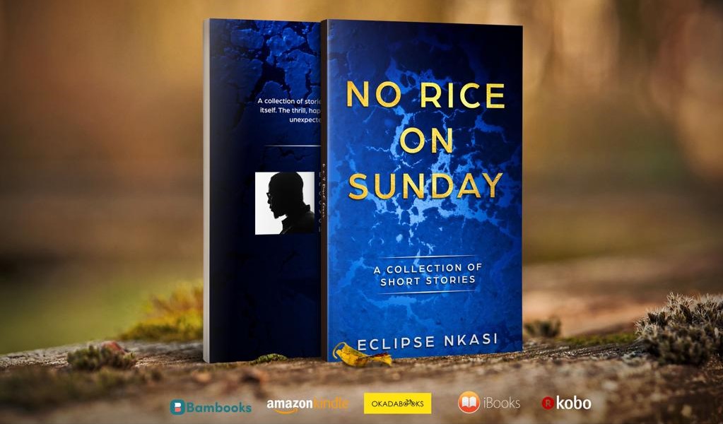 Nigerian Fiction Books