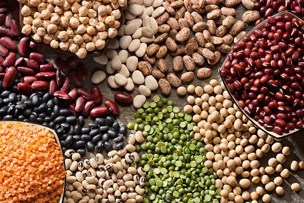 fiber diet